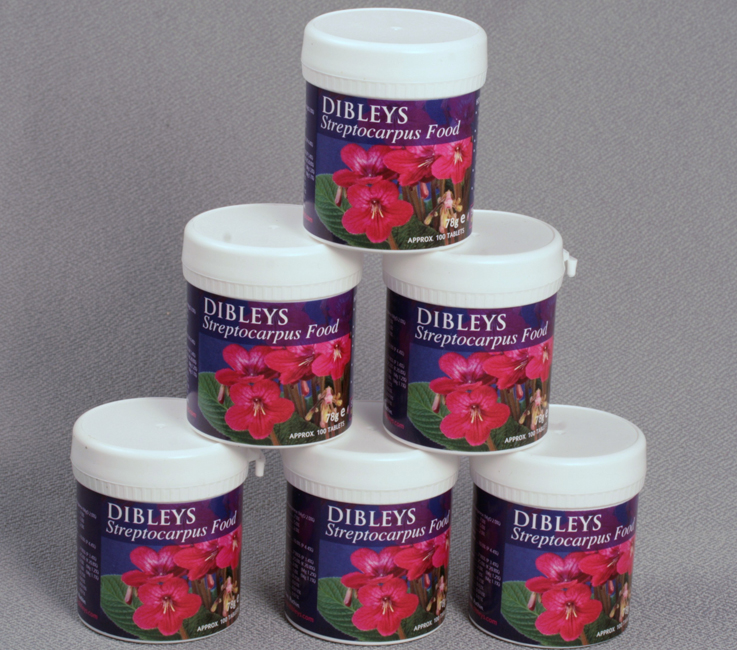 Dibleys Streptocarpus Food Tablets (402)