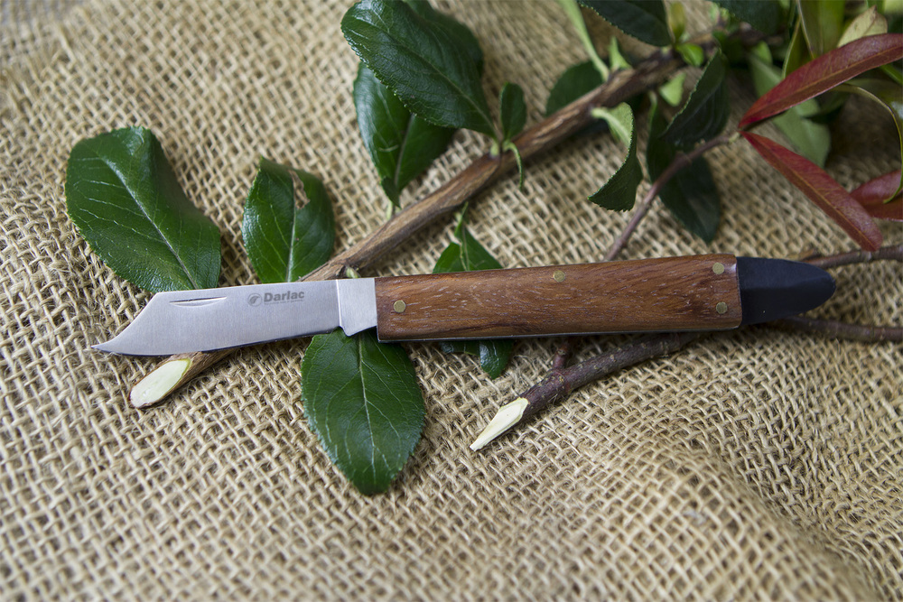 Traditional Wood Handle Knife (484)